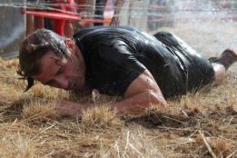 487601_432155063497614_1856845048_n