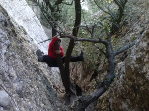 Canal dels micos (5)