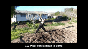 Instantánea 1 (15-04-2014 12-52)