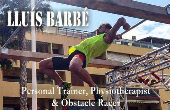 flying monkey lluis portada